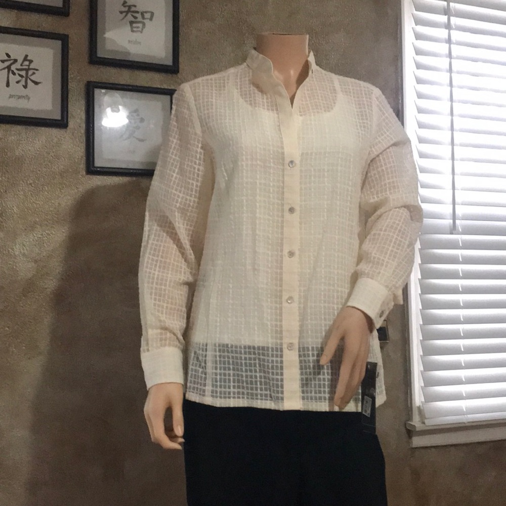 Sheer tunic